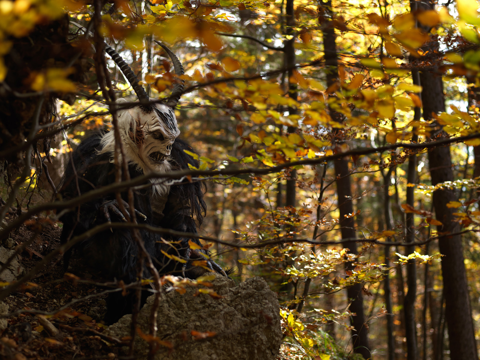 krampus seduto tra gli alberi pieni di foglie autunnali