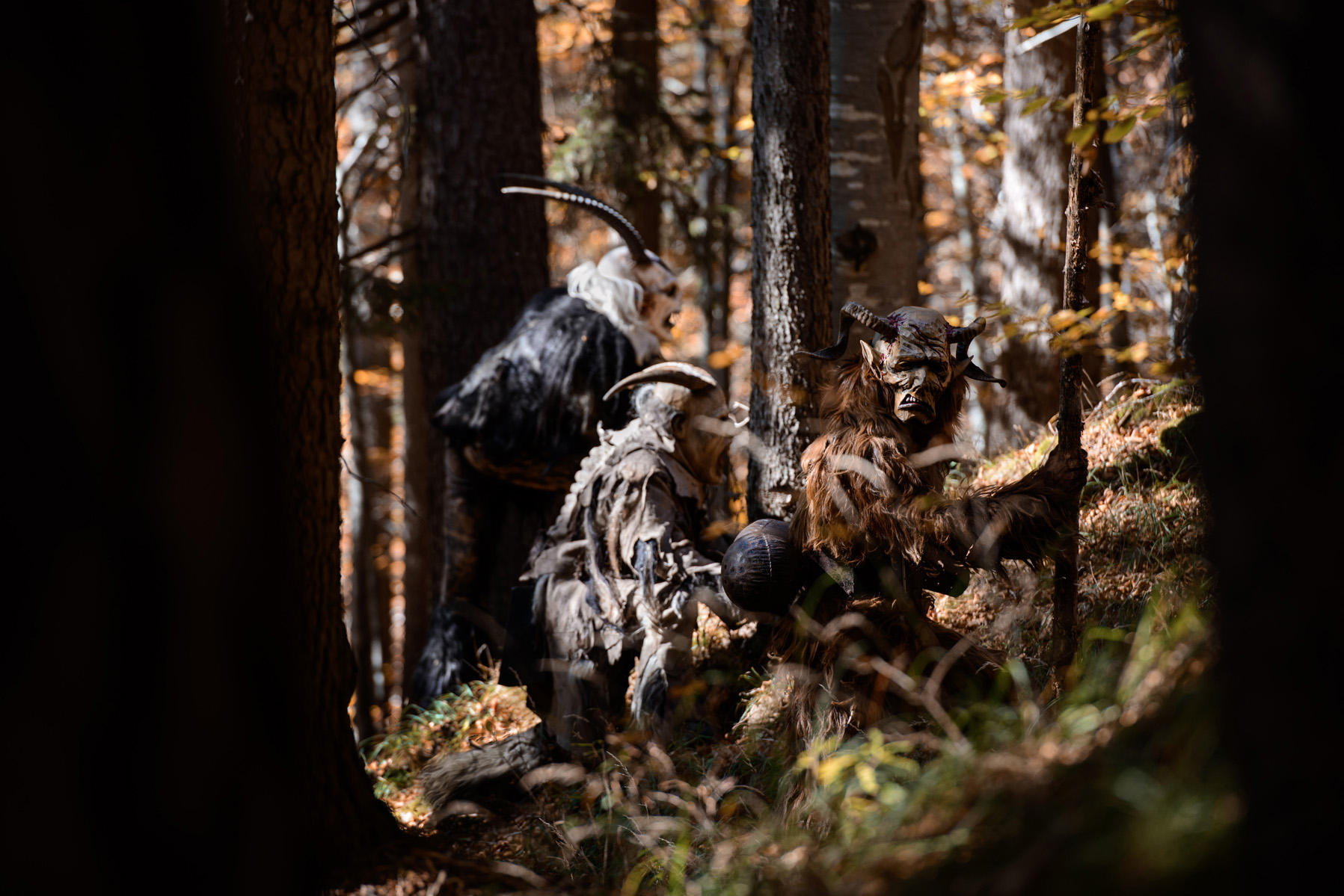 krampus si appostano tra gli alberi