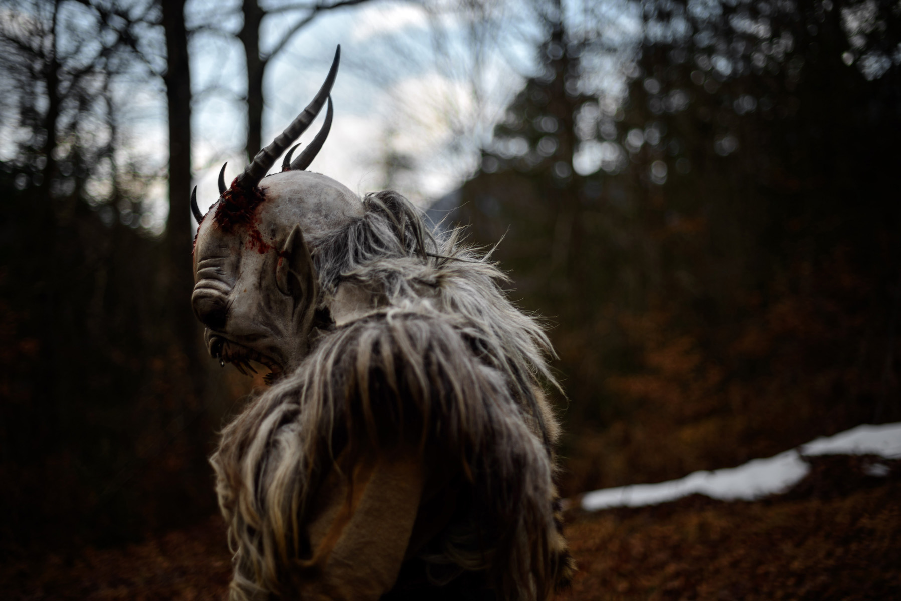 krampus di profilo in autunno