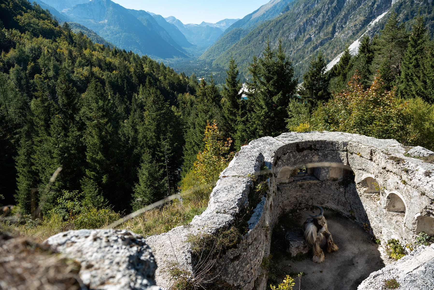 Krampus si riposa all'esterno del suo rifugio